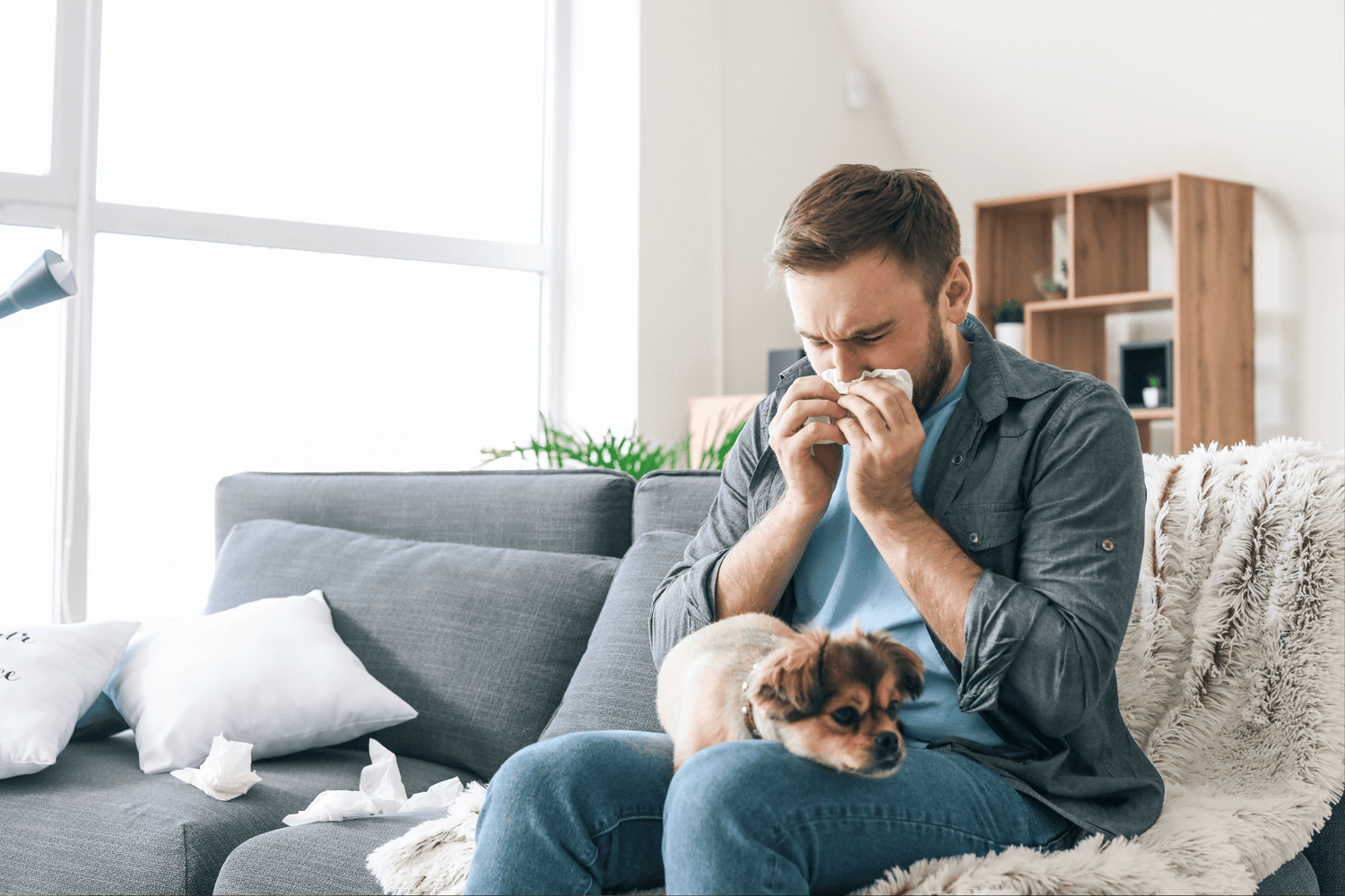 CBD bei Allergien: Hilfe bei Heuschnupfen mit CBD Spray
