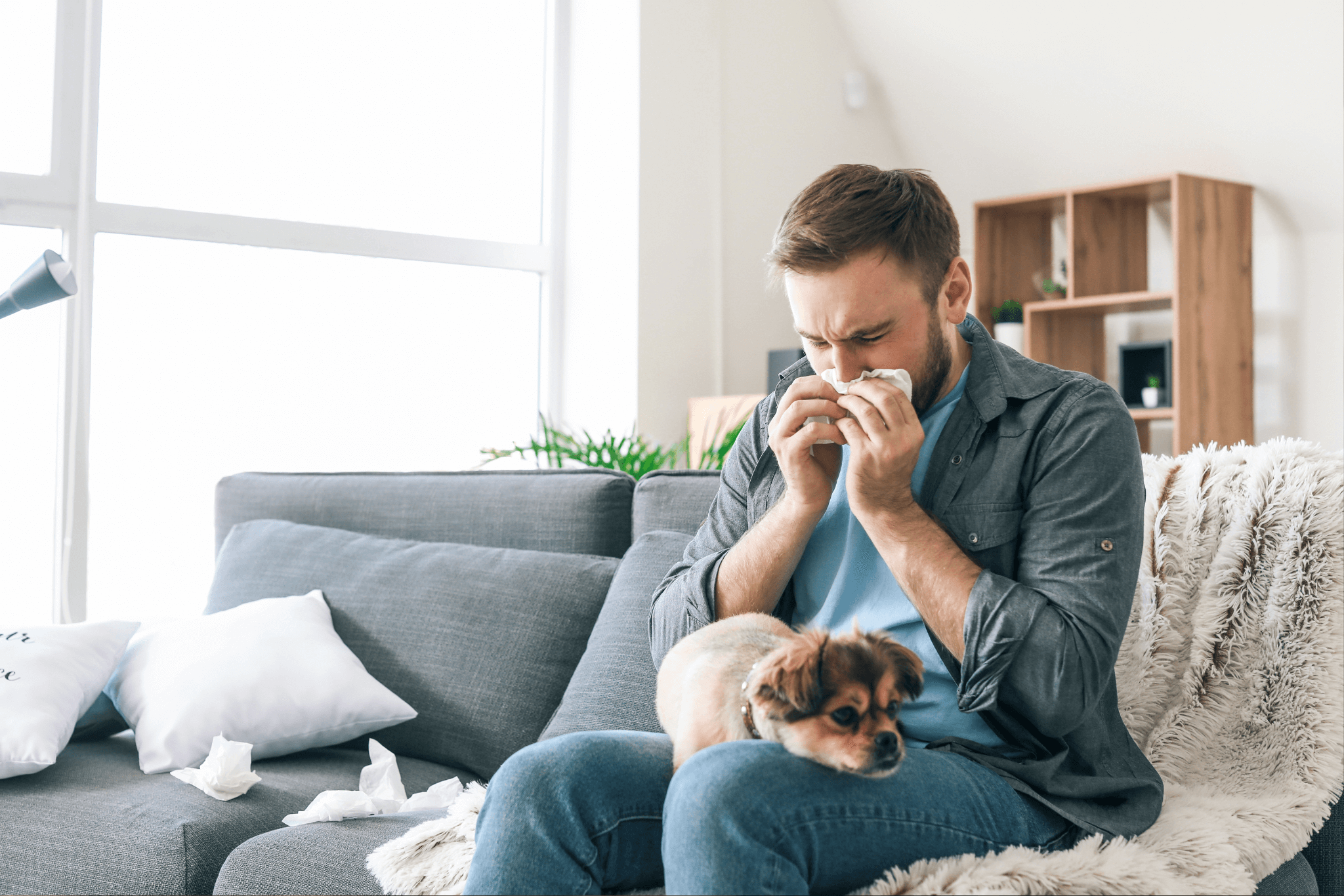 CBD bei Allergien: Hilfe bei Heuschnupfen mit CBD Spray