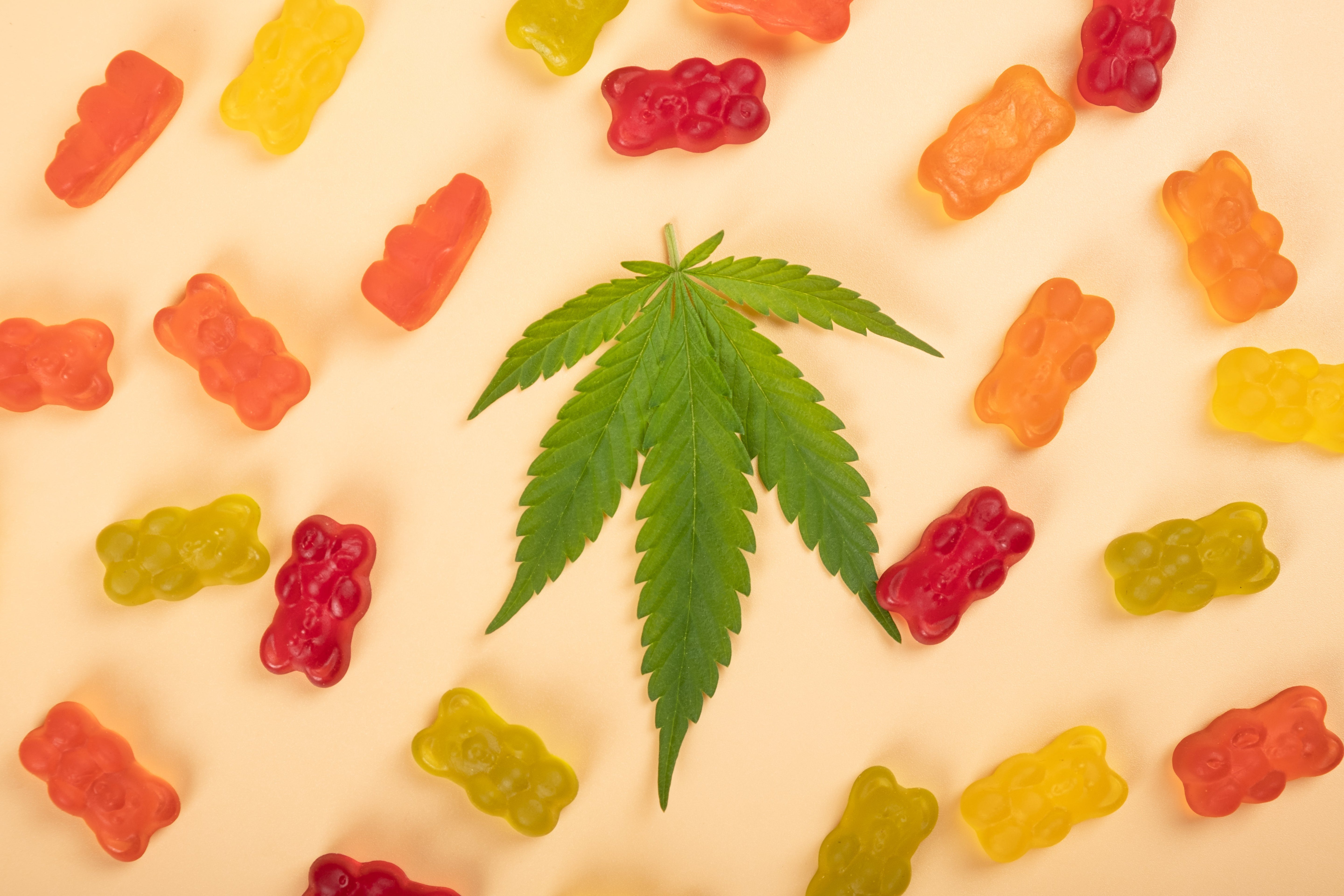 shinygram_CBD_gummibrächen_fruchtgummis