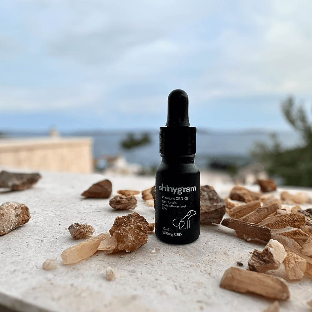 CBD Öl für Hunde 5%