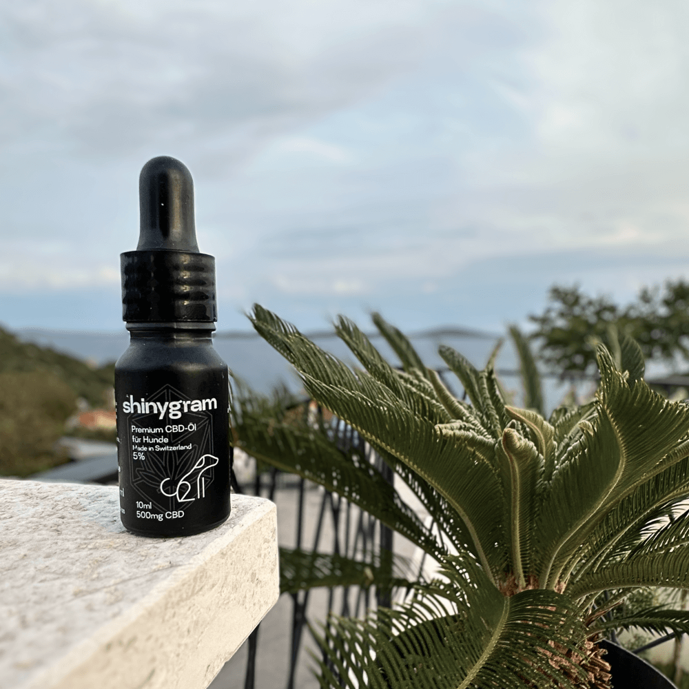 CBD Öl für Hunde 5%