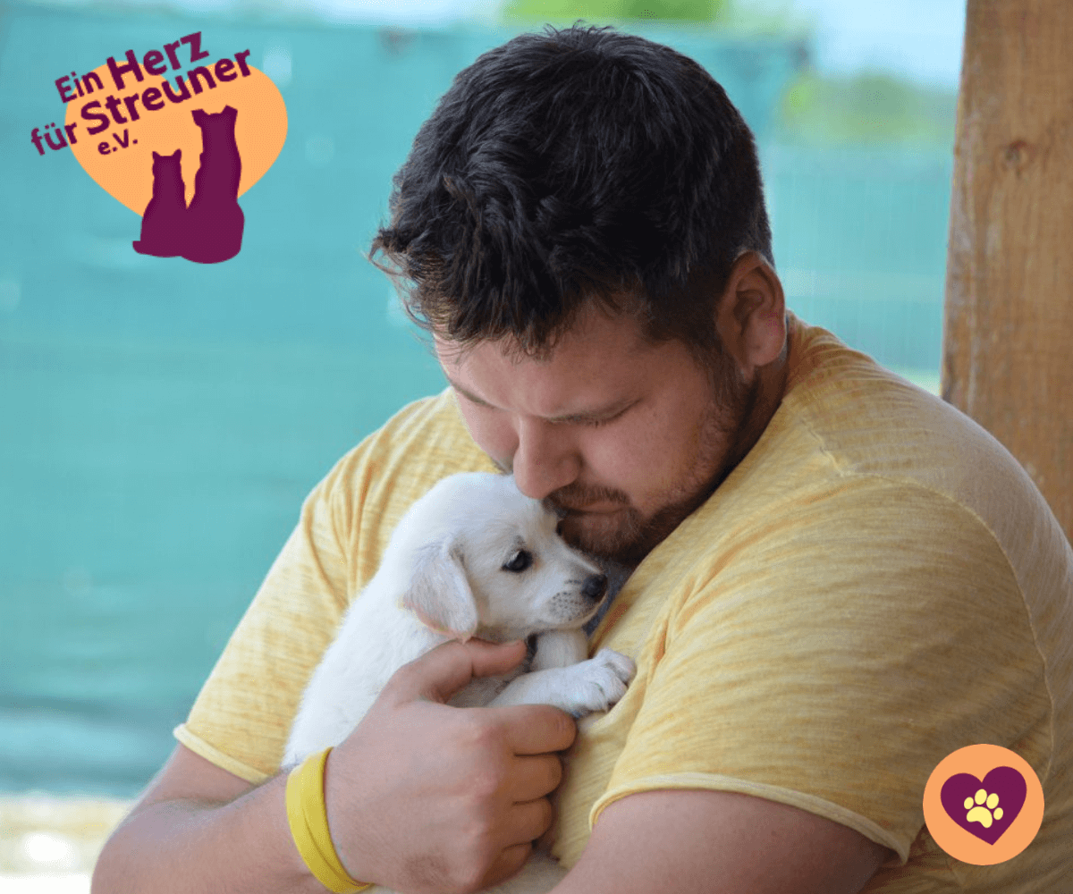 Hund adoptieren Ein Herz für Streuner